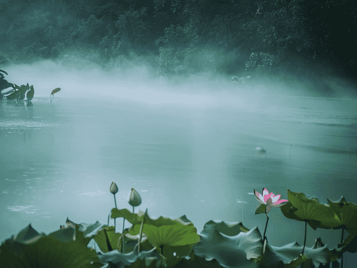 芜湖一中附中统招什么意思