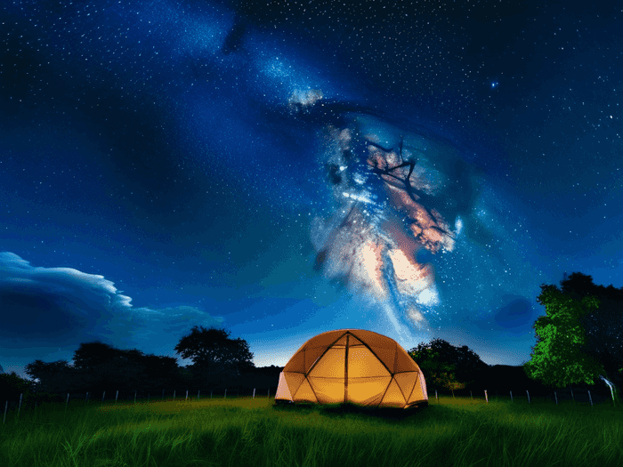 饼干人王国最高多少星
