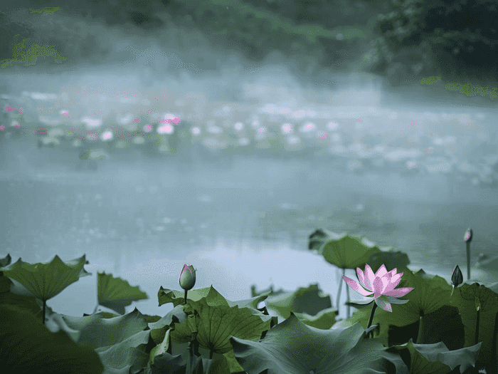 就业证怎么销户
