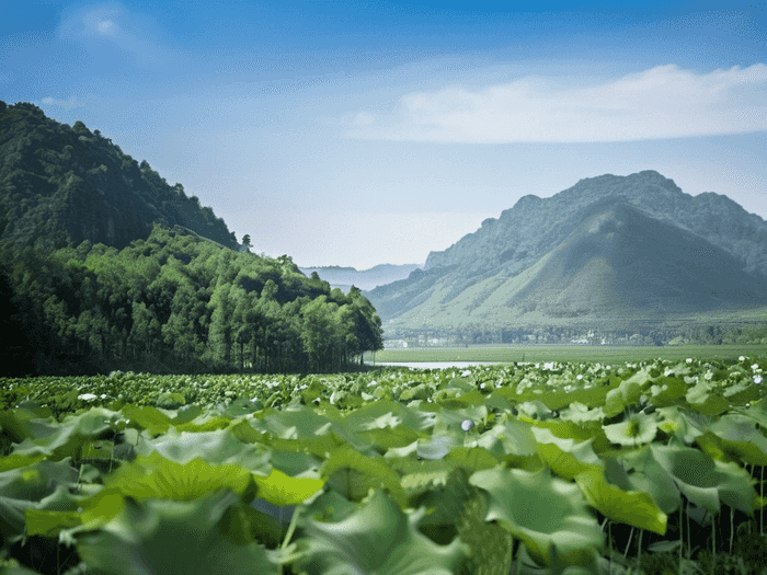 环境大气方向怎么就业