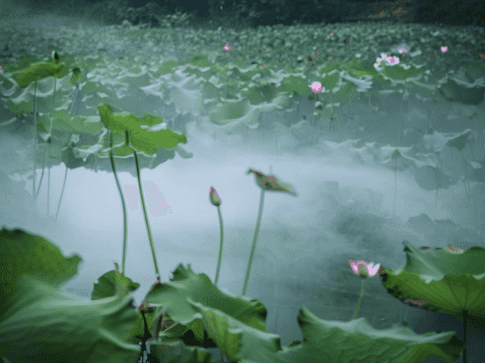 老师怎么帮忙填报志愿