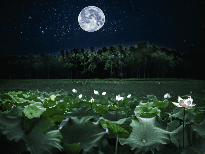 合肥大地学校奖学金多少