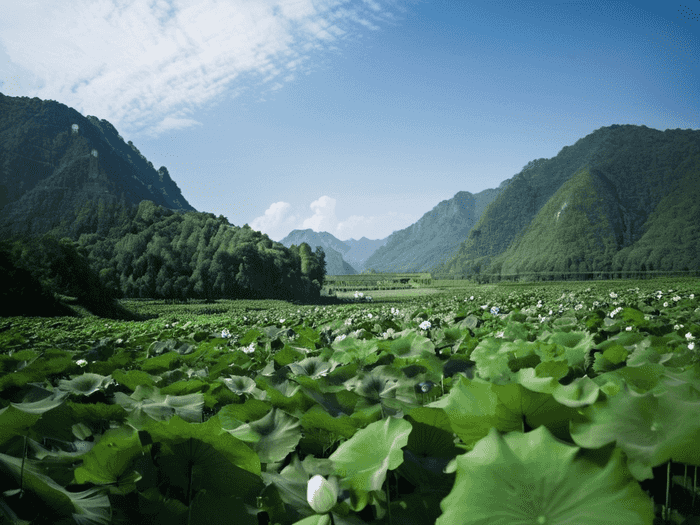 村民就业困难怎么解决