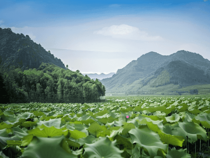 保定怎么交灵活就业