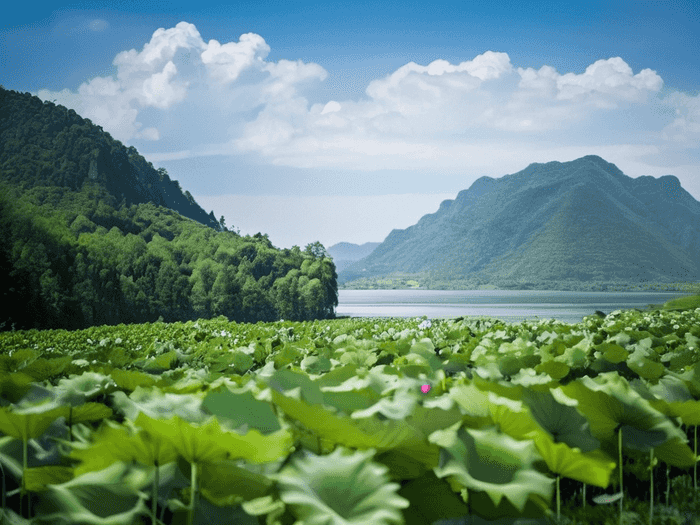 南京玫瑰园学校房价多少
