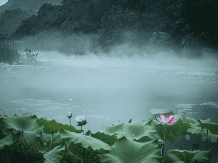 湛江海宁学校学费是多少