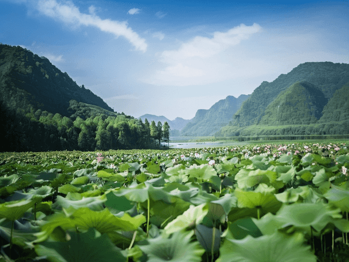 城实学校高中学费多少