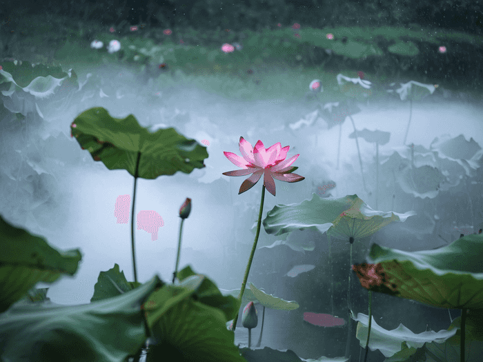 临汾师范学校的学费多少