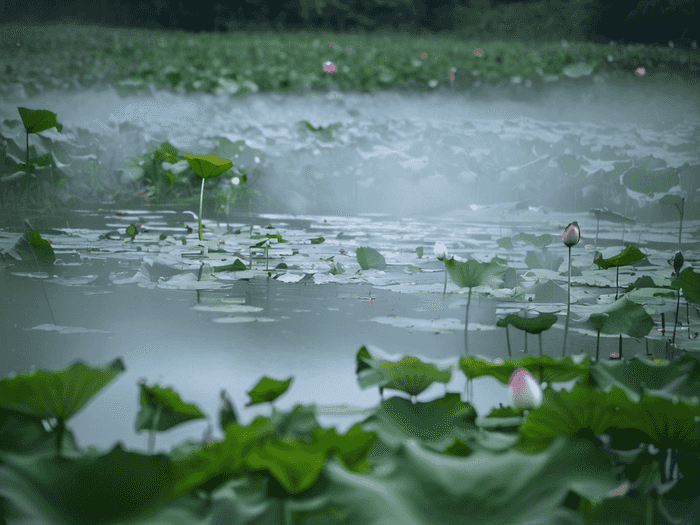 就业问题怎么来的