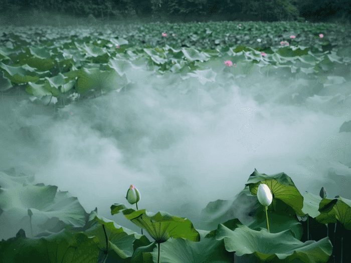 高职和无锡艺校哪个好