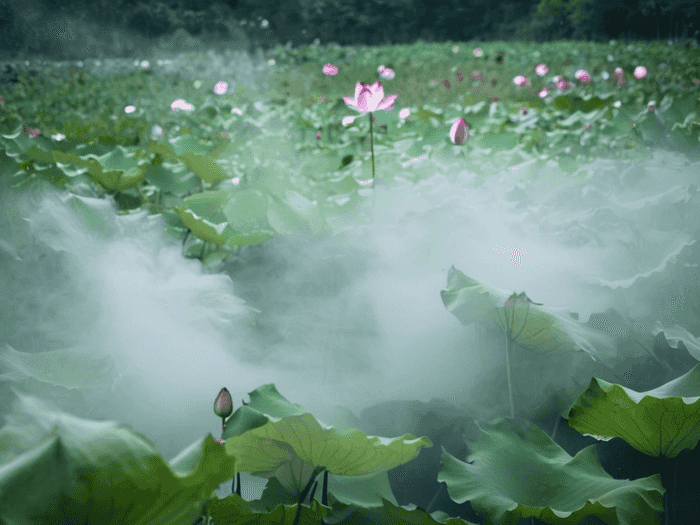 喜欢生物的考什么专业好