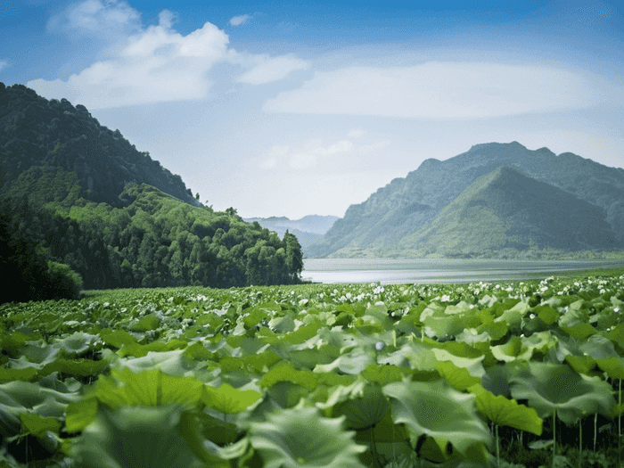 高职本科是什么学历