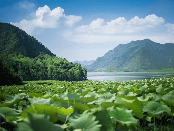 什么专业接近黑客好进的