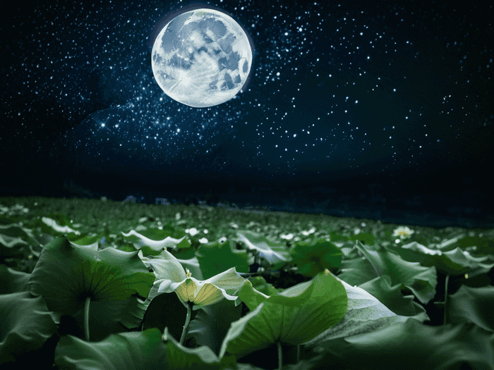 去体校有什么专业选择好