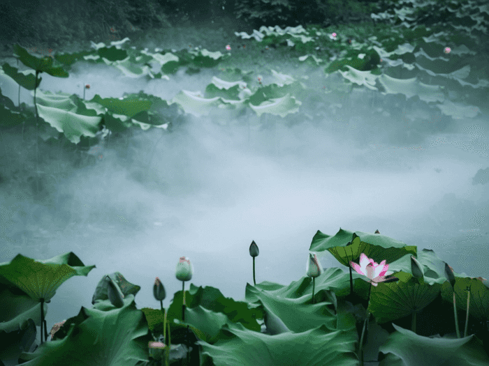 专攻生物能怎么就业