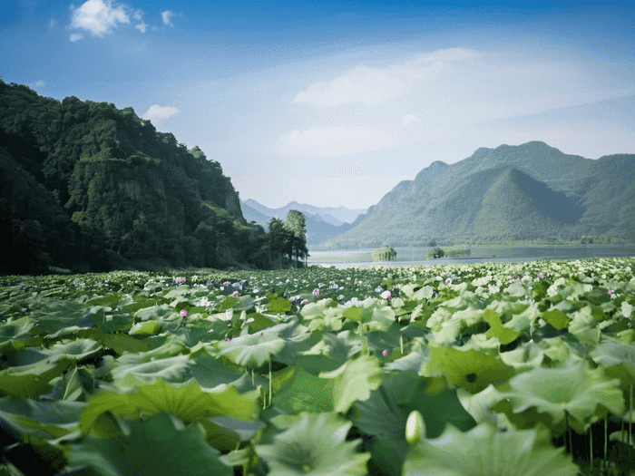 广西高职高专填哪个好点