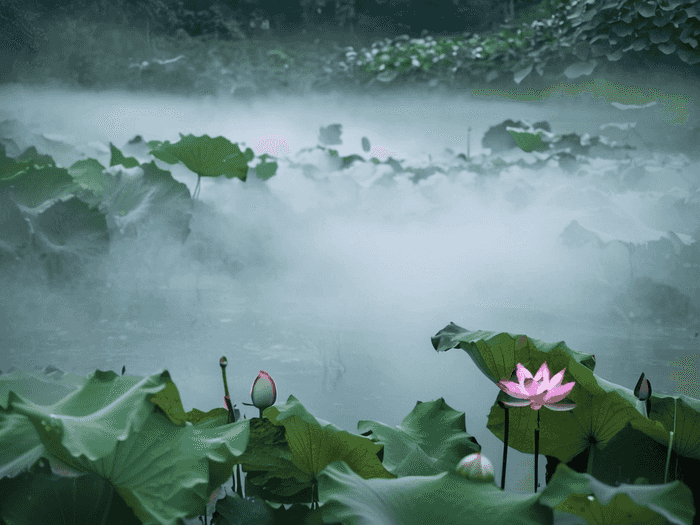 读高职下来要花多少钱呢