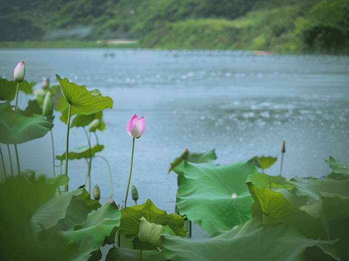 贾慧英语老师怎么样