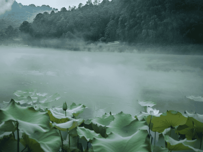 生物老师什么专业对口好