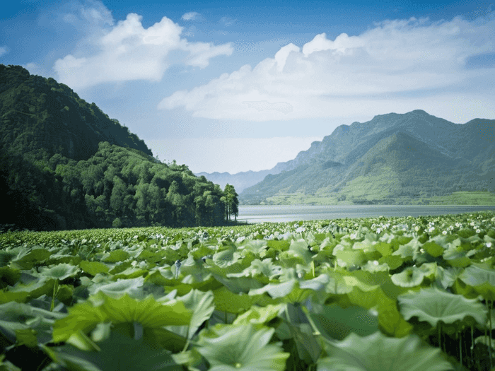 理科报师范选什么专业好