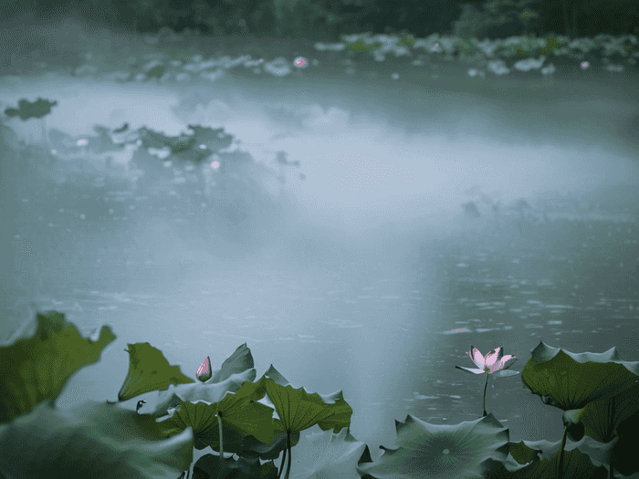 荣家湾学校哪里好