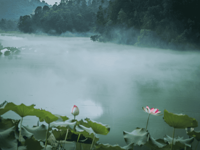 管培生考研什么专业好