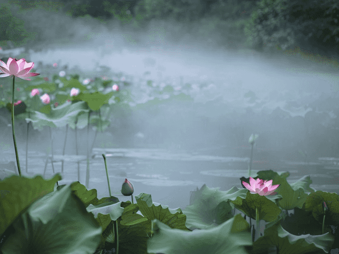 师范院校选什么专业好