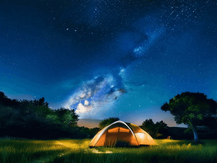 就业中介费用怎么收取