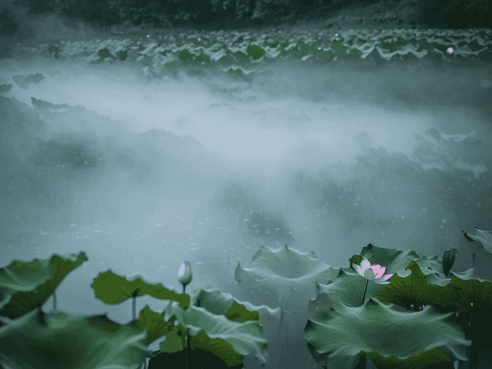 原画师怎么就业前景好呢