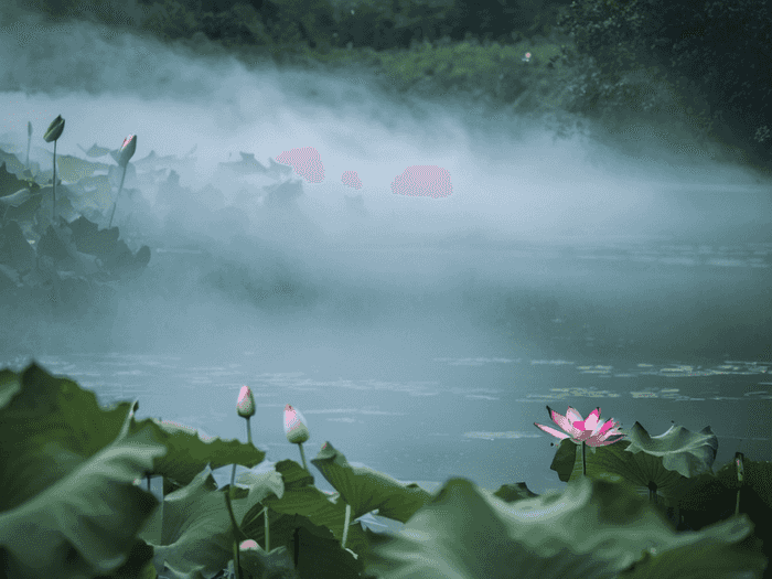 音乐细胞怎么遗传