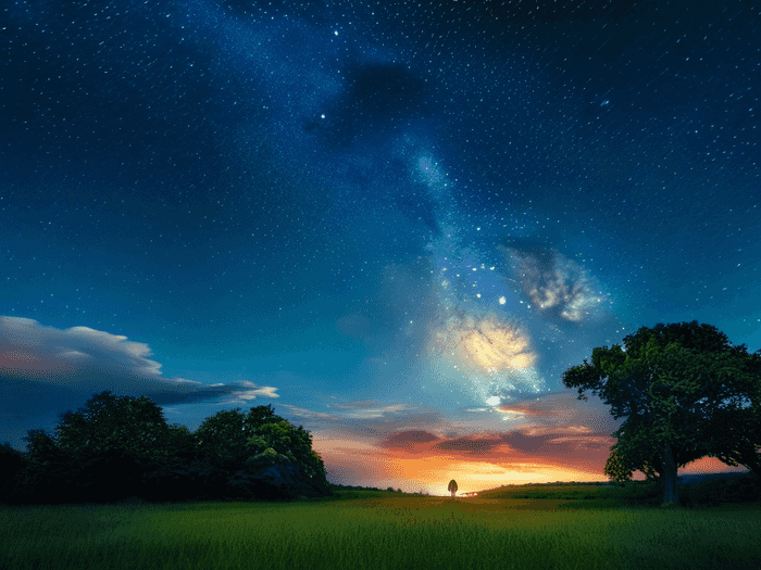 星海单招要多少钱