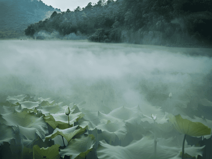 学校菜园种土豆种植多少
