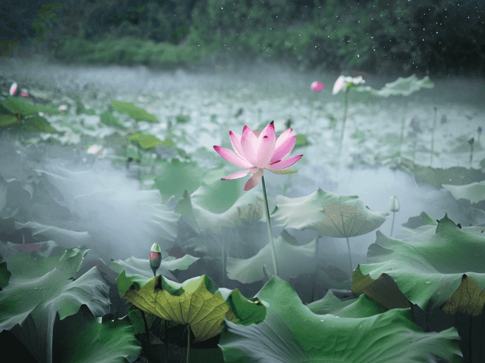 考研去东师多少分录取