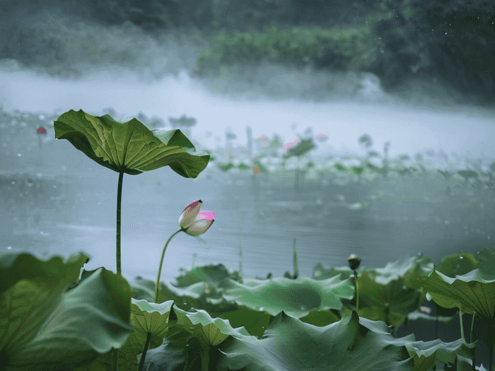 成人考师范要多少分录取