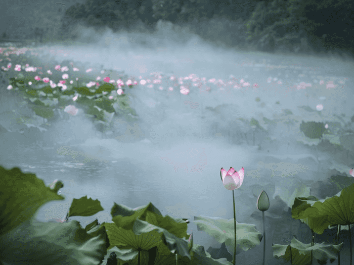 中山英语陈老师怎么样