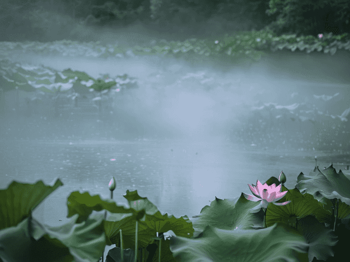 雨天音乐怎么变