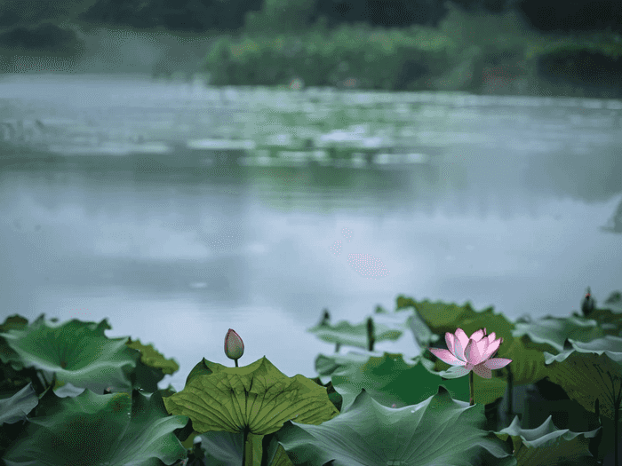 高职怎么进去