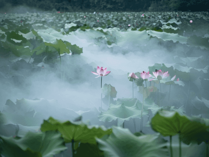 哪里有鲜花花艺培训学校