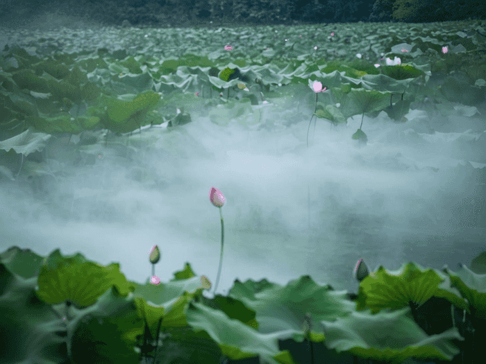 个人就业登记怎么选地区