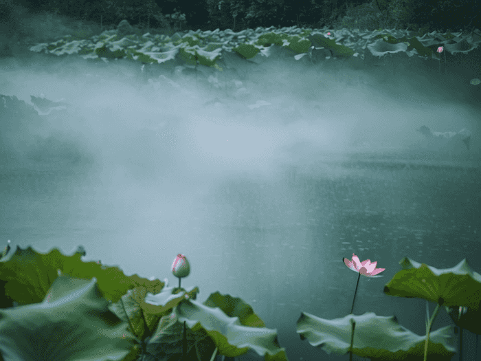 芯片领域怎么选择就业岗位