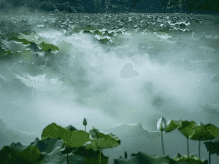 柳州在哪里读药师学校