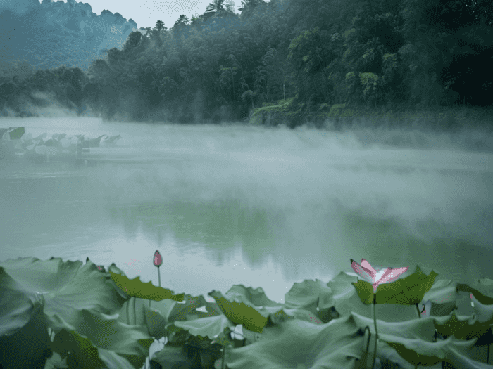 富阳就业怎么样