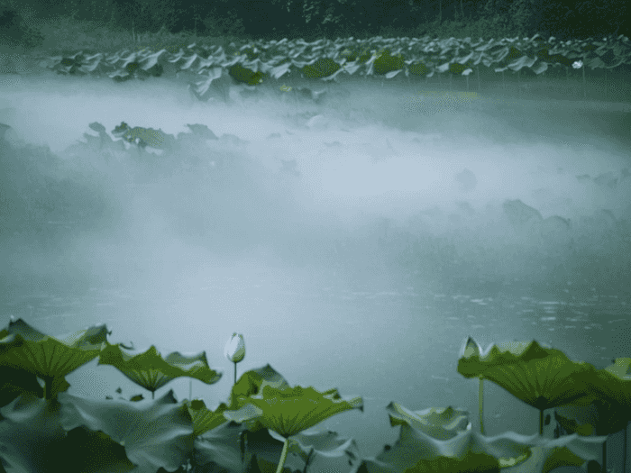 下雨怎么躲音乐