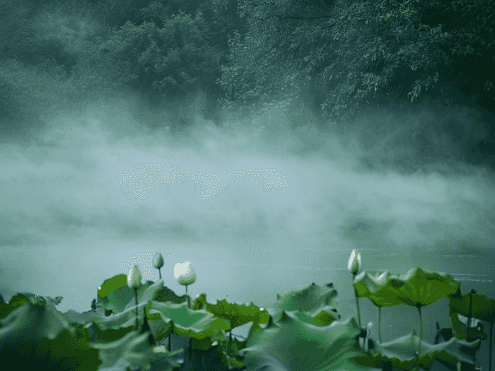 唐雨洁英语老师怎么样