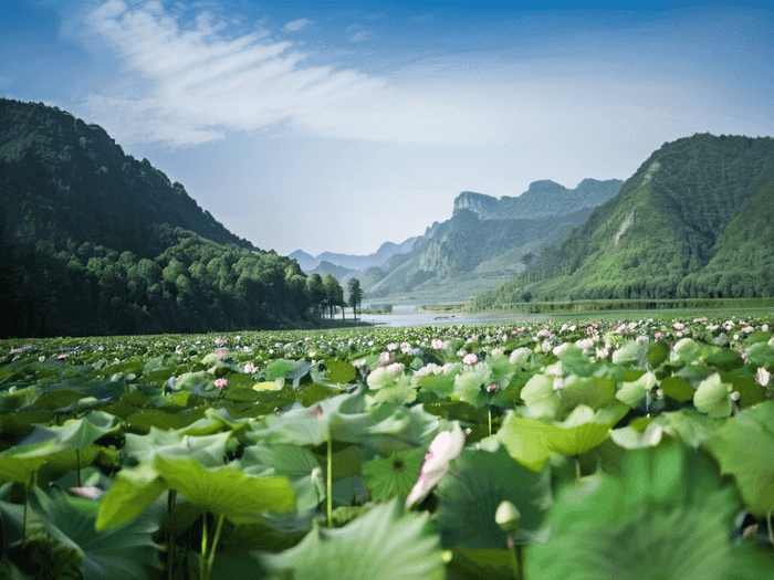 blg是什么汉字
