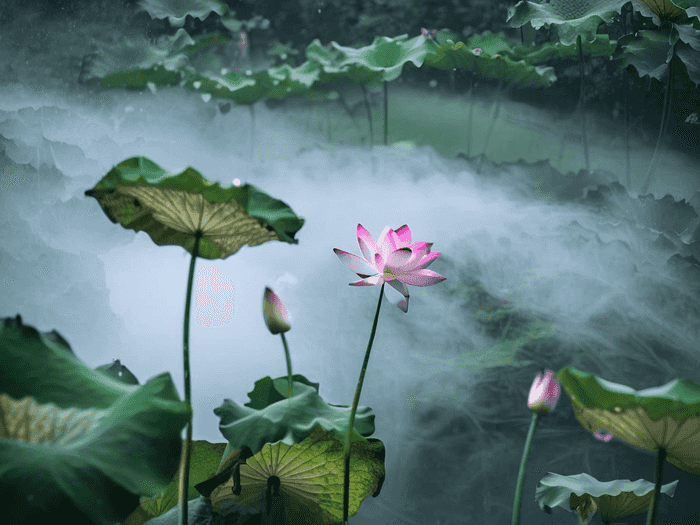 脚汉字叫什么