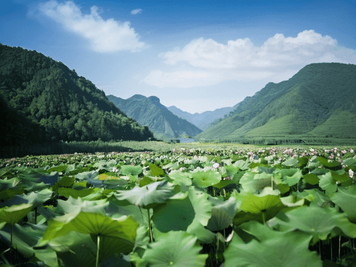 家长会属什么参与方式