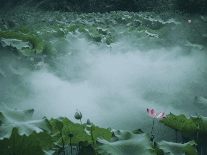 214二进制怎么算
