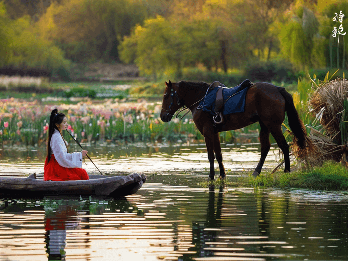 怎么调节音乐好听