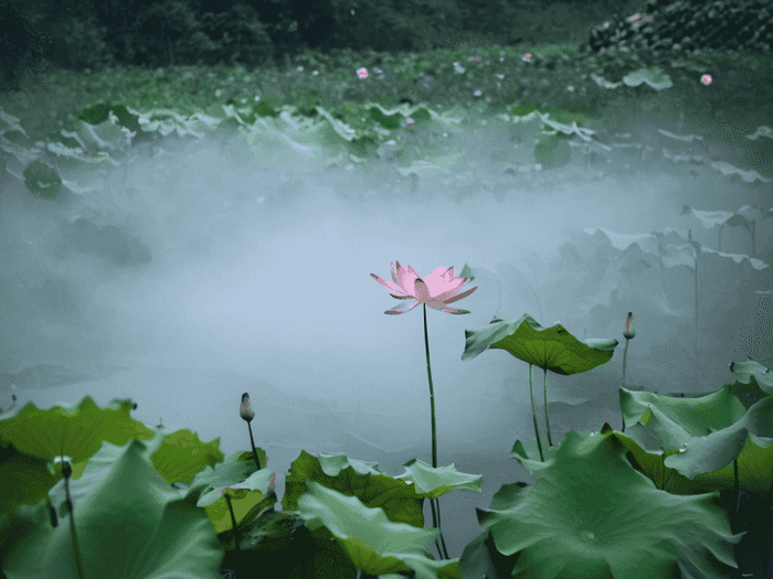 家长会该提什么意见